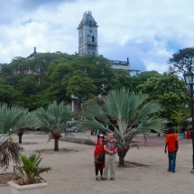 Zanzibar and the northern coast